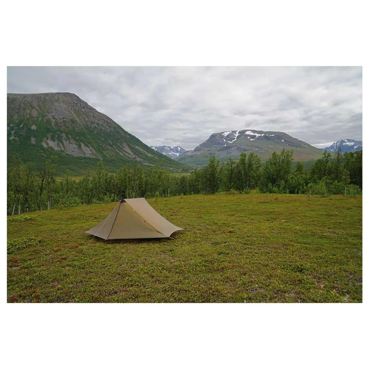 Anaris Tent