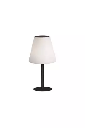 Ll - Solar Led Table Lamp - 45cm