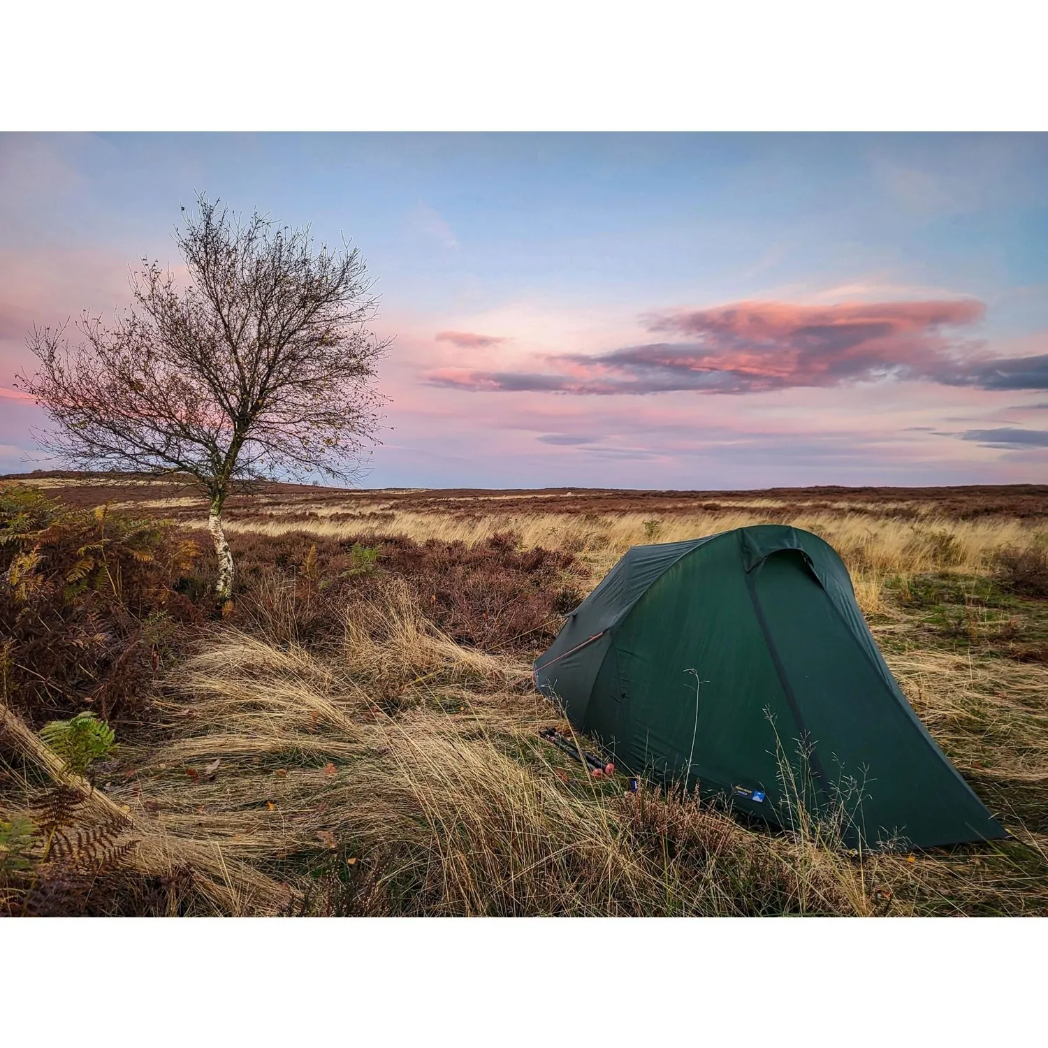 Voyager Tent